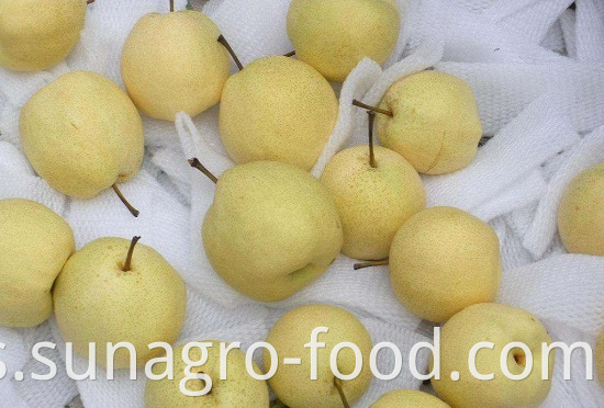 Natural Snow Pear